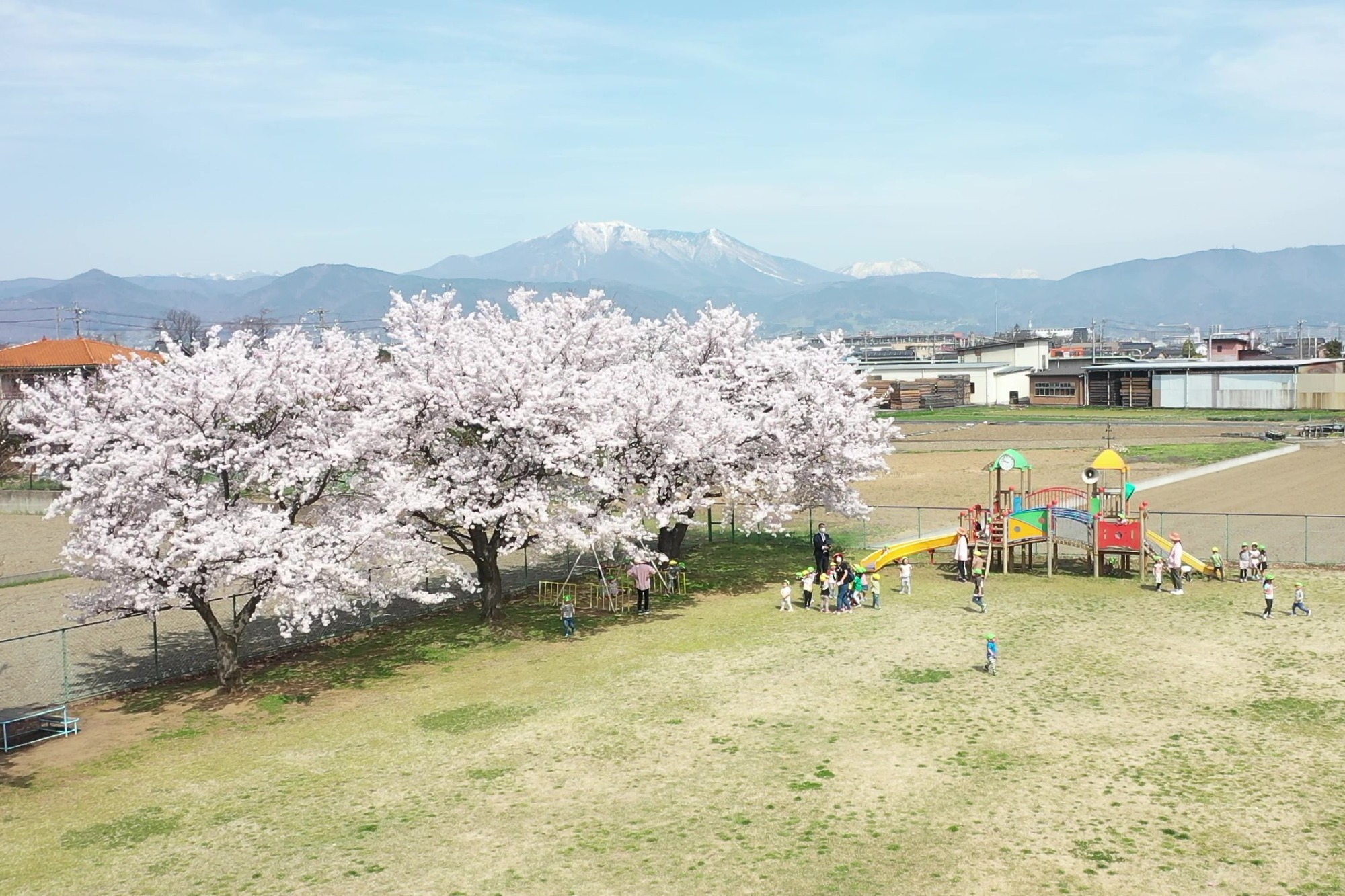 園長先生のコラム