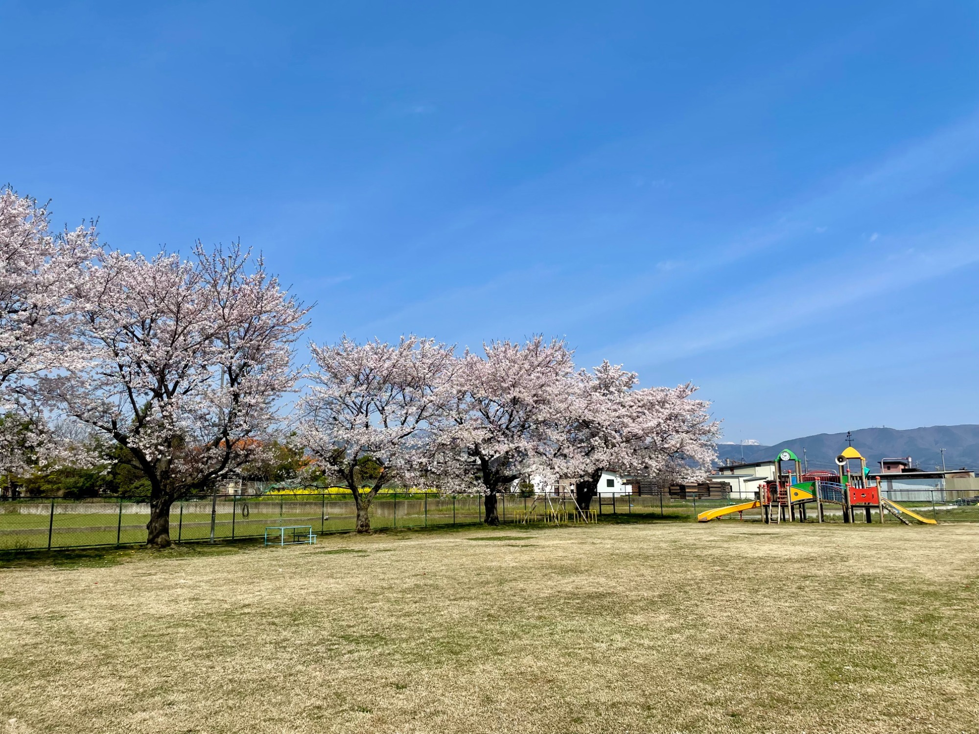 2023年7月21日　花火大会を開催しました