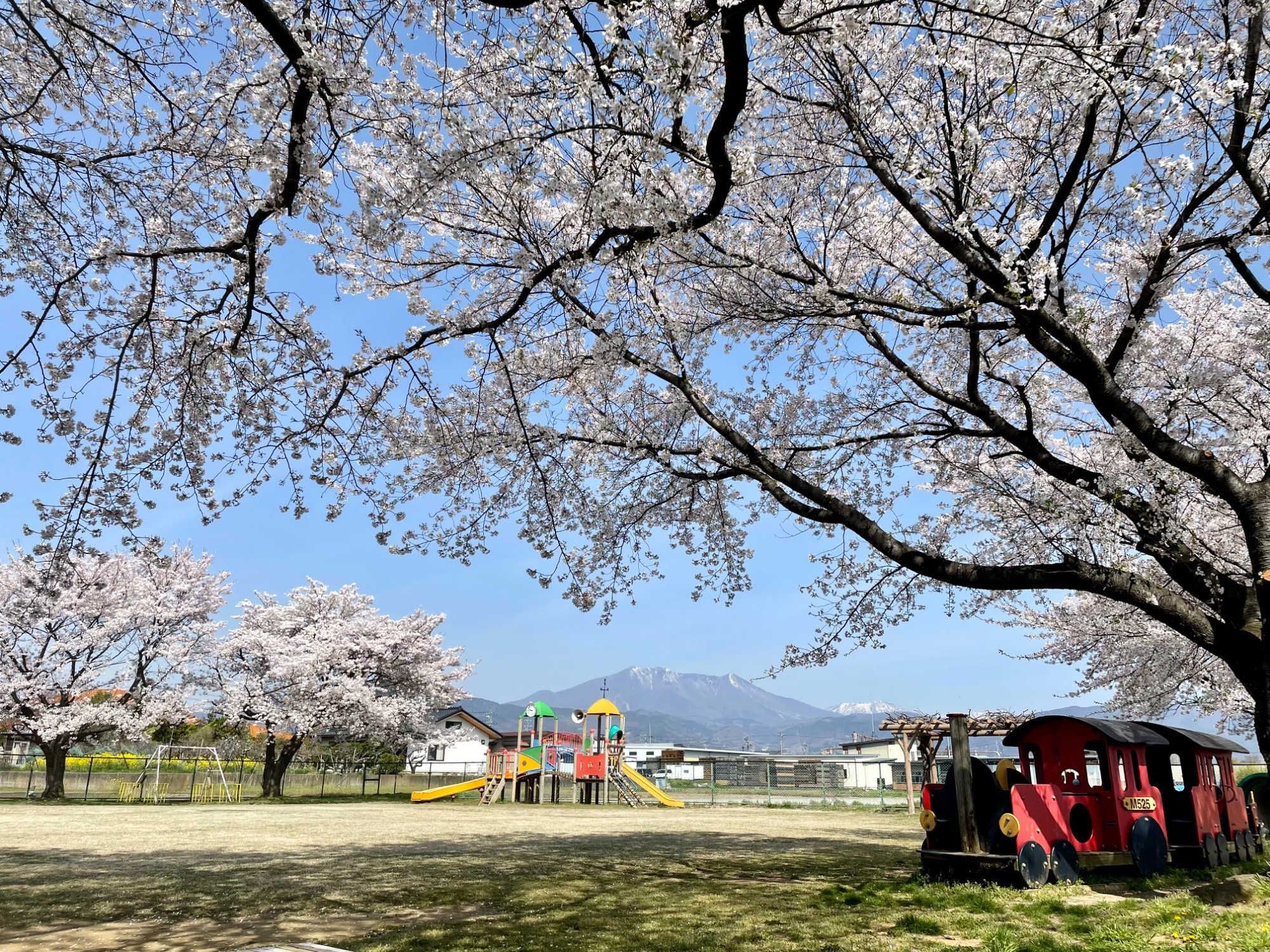 2023年7月21日　花火大会を開催しました